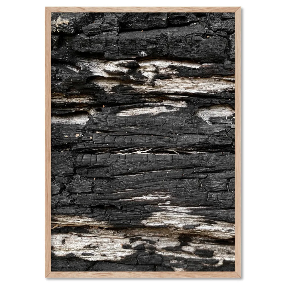 Gumtree | Charred Eucalypt V - Art Print
