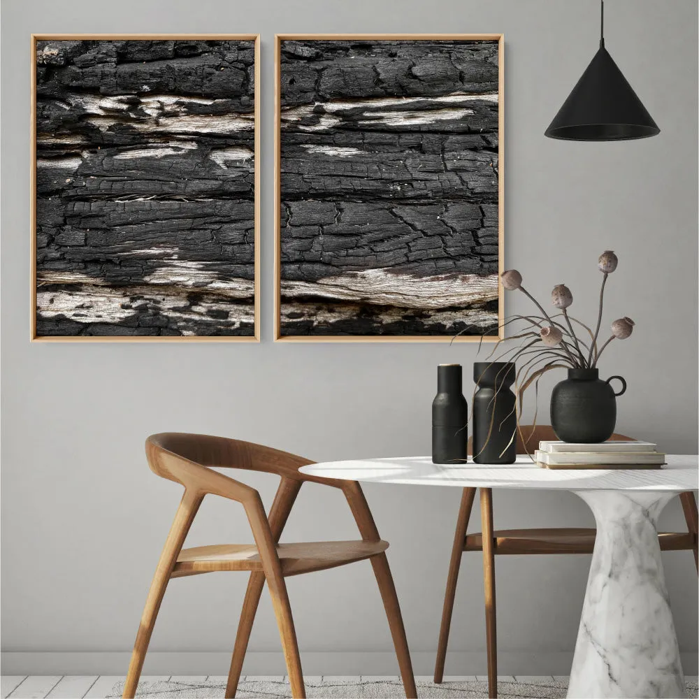 Gumtree | Charred Eucalypt V - Art Print