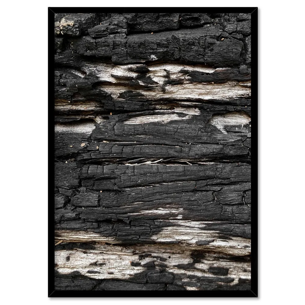 Gumtree | Charred Eucalypt V - Art Print