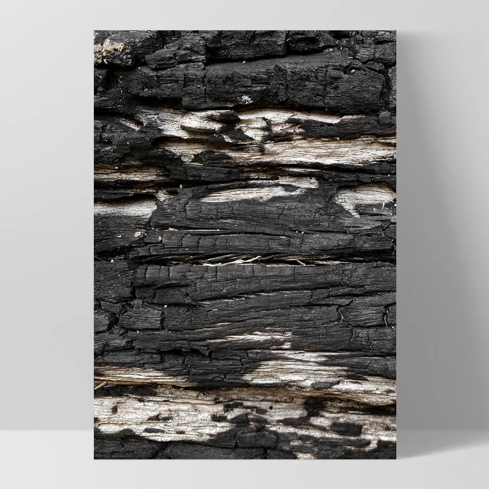 Gumtree | Charred Eucalypt V - Art Print