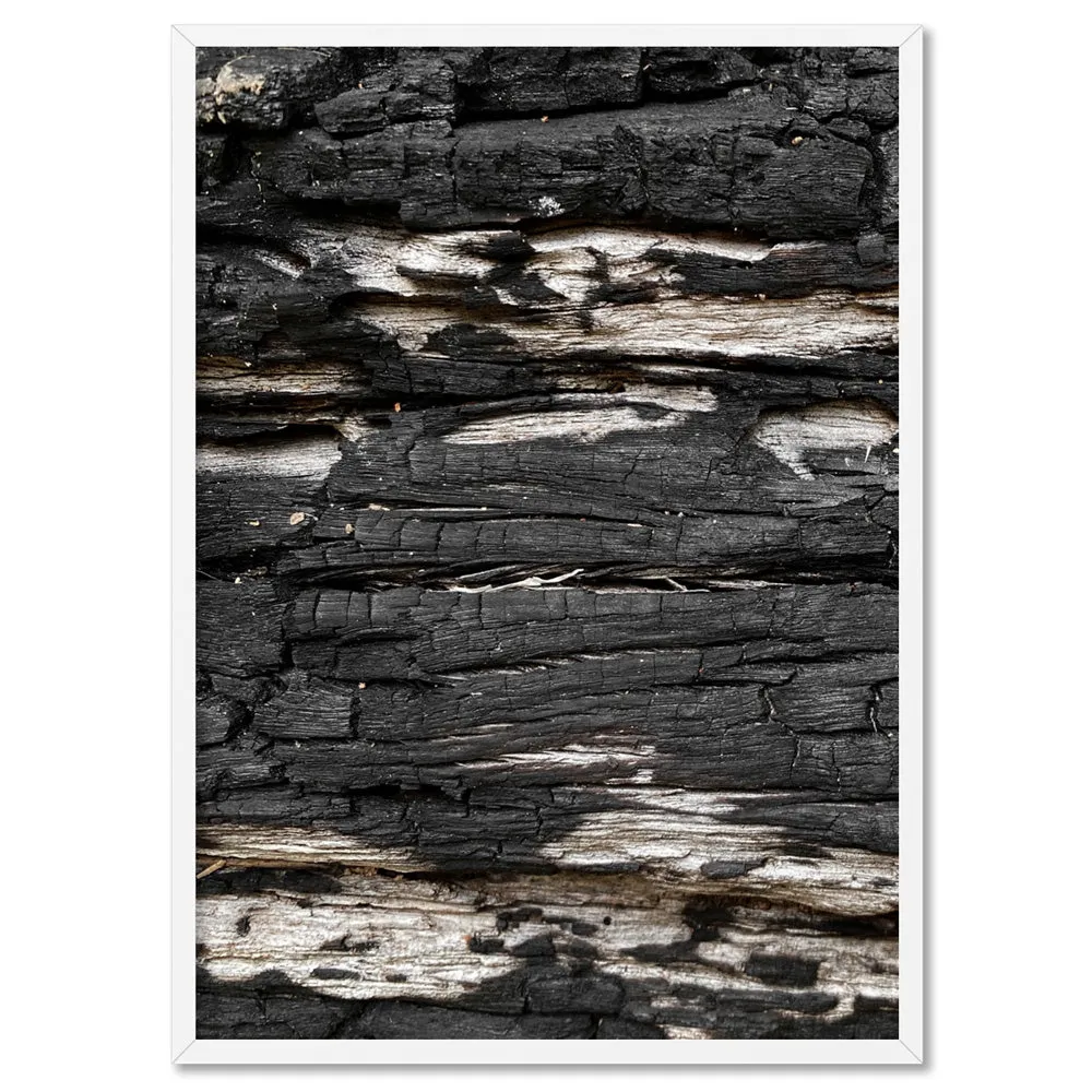 Gumtree | Charred Eucalypt V - Art Print