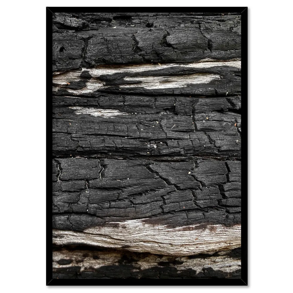 Gumtree | Charred Eucalypt VI - Art Print