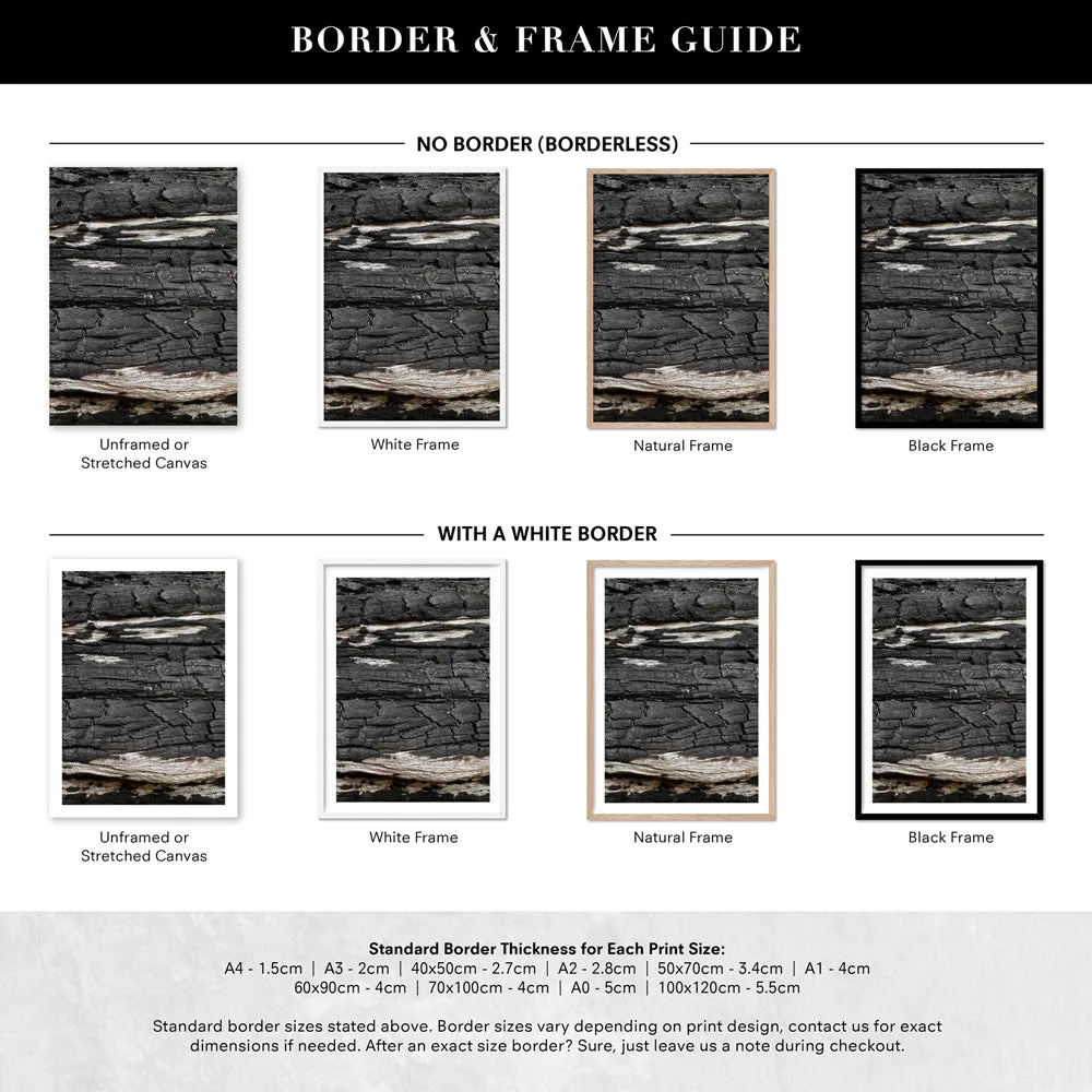 Gumtree | Charred Eucalypt VI - Art Print