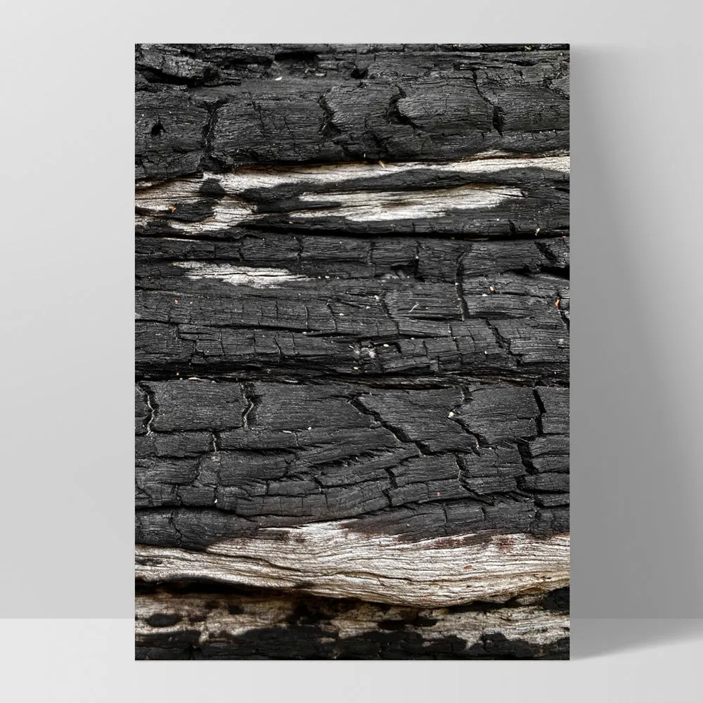 Gumtree | Charred Eucalypt VI - Art Print