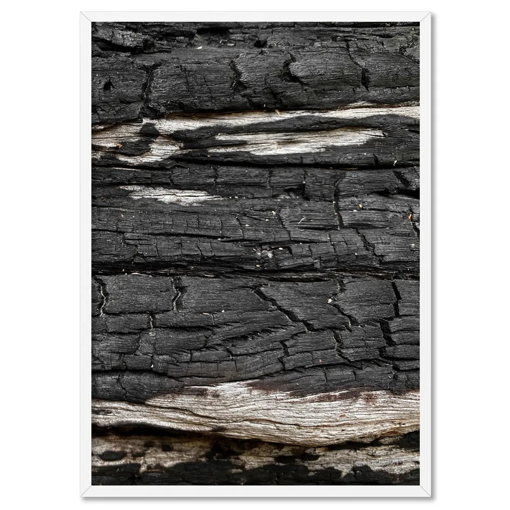 Gumtree | Charred Eucalypt VI - Art Print