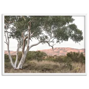 Gumtree Outback Landscape I - Art Print