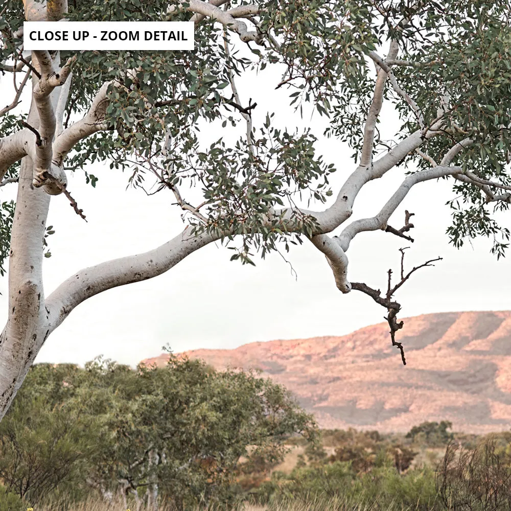 Gumtree Outback Landscape I - Art Print