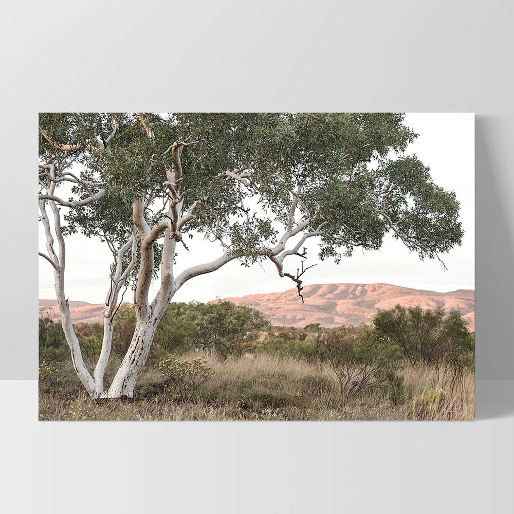 Gumtree Outback Landscape I - Art Print