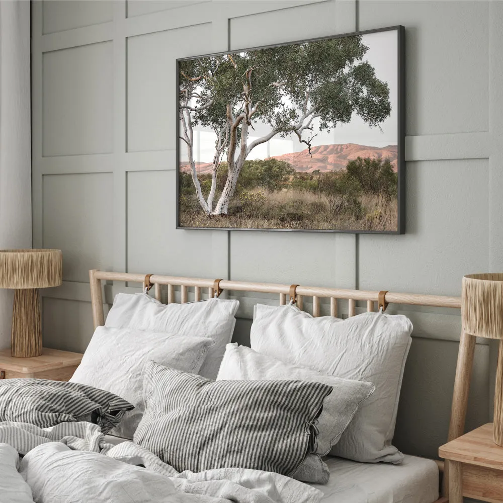 Gumtree Outback Landscape I - Art Print