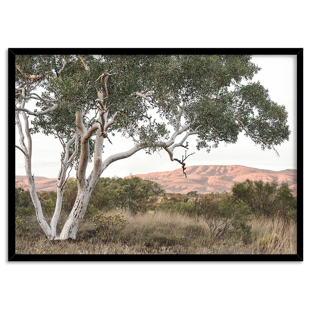 Gumtree Outback Landscape I - Art Print