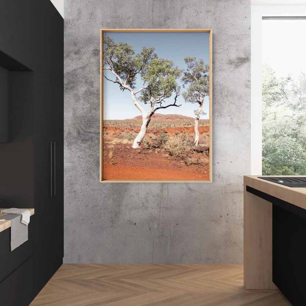 Gumtree Outback View III - Art Print