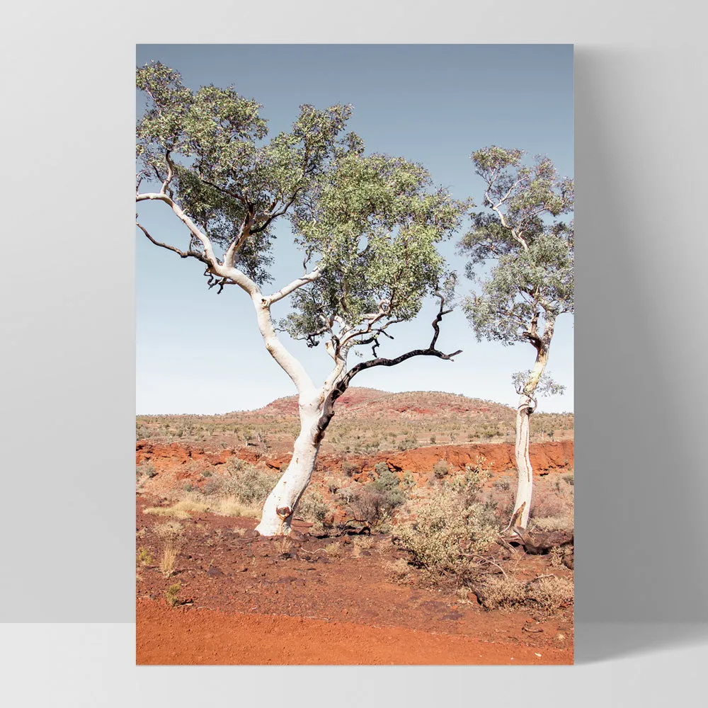 Gumtree Outback View III - Art Print