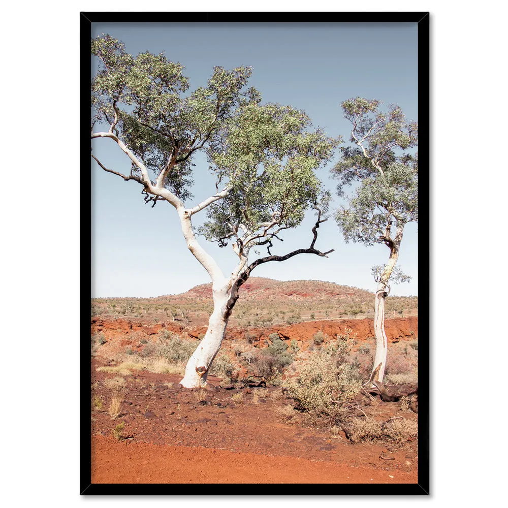 Gumtree Outback View III - Art Print
