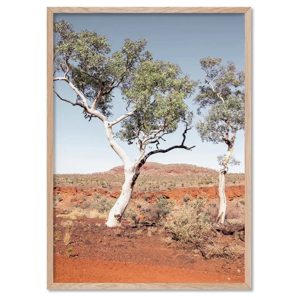 Gumtree Outback View III - Art Print