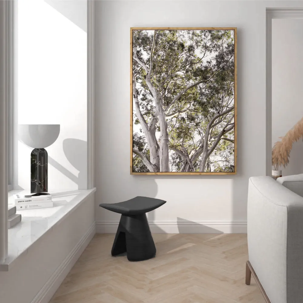 Gumtrees View I - Art Print