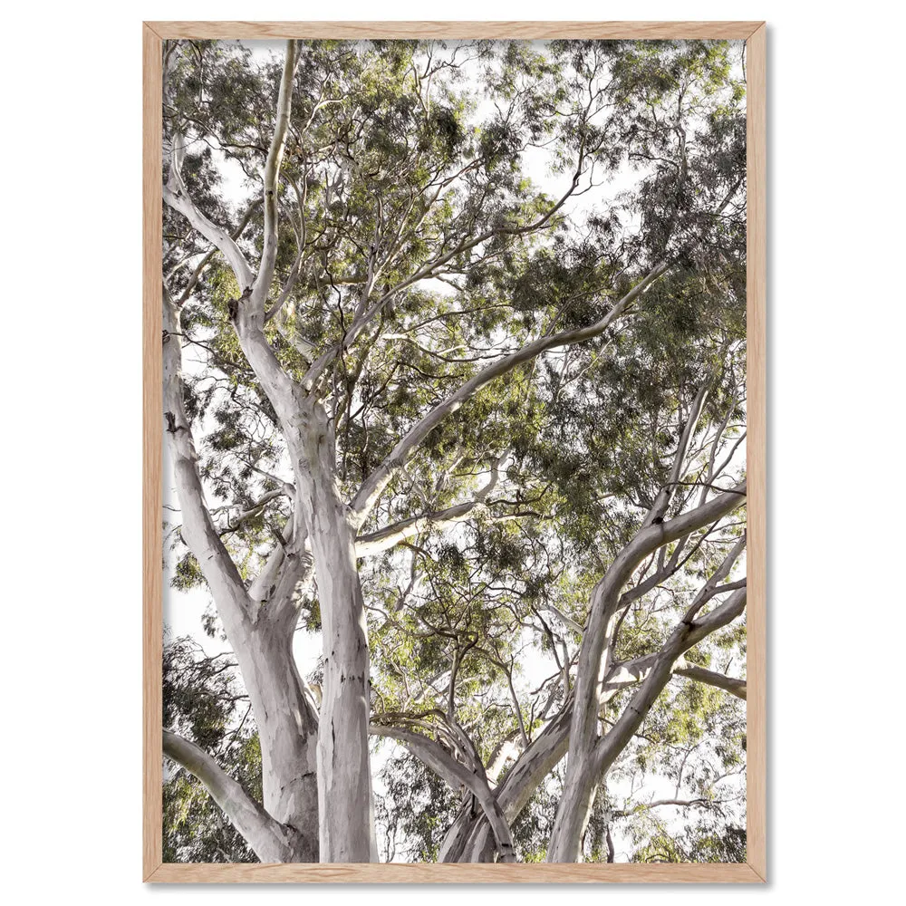 Gumtrees View I - Art Print