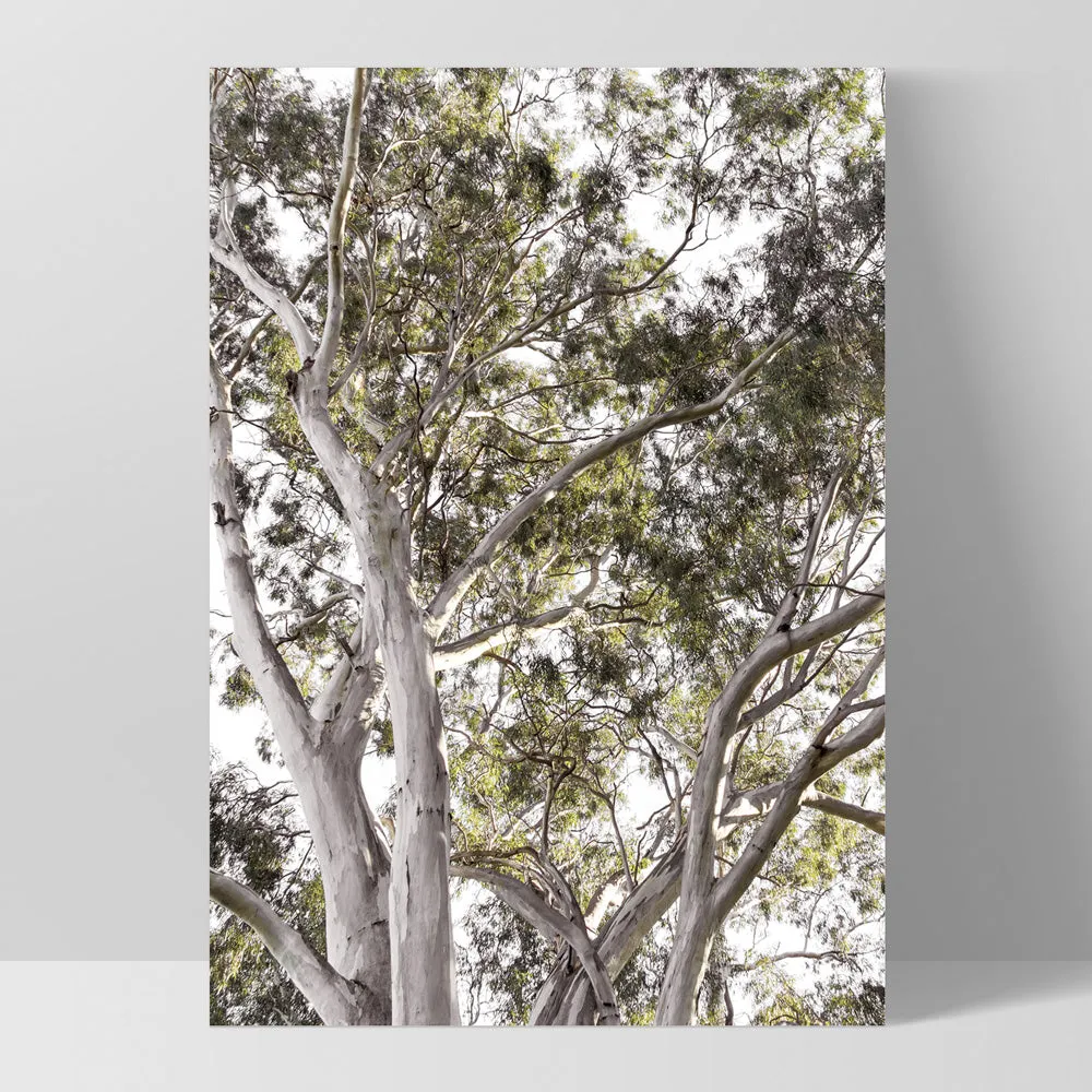 Gumtrees View I - Art Print