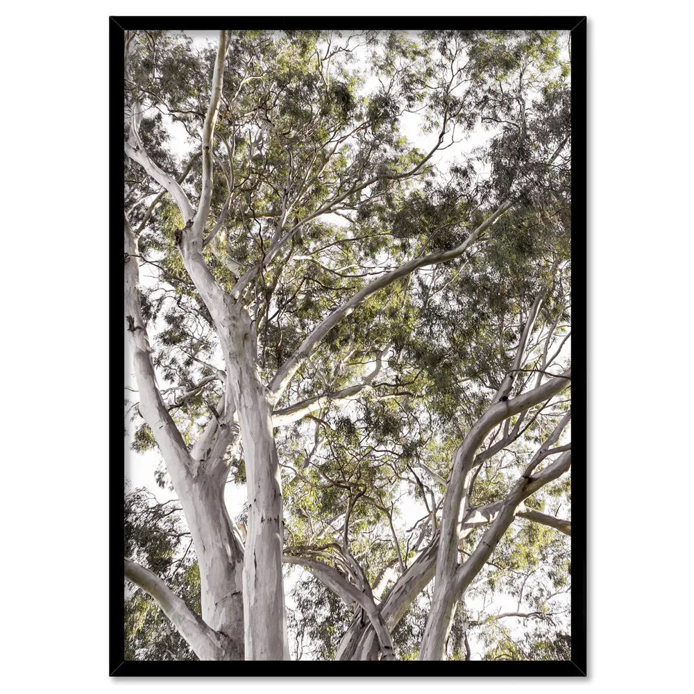 Gumtrees View I - Art Print