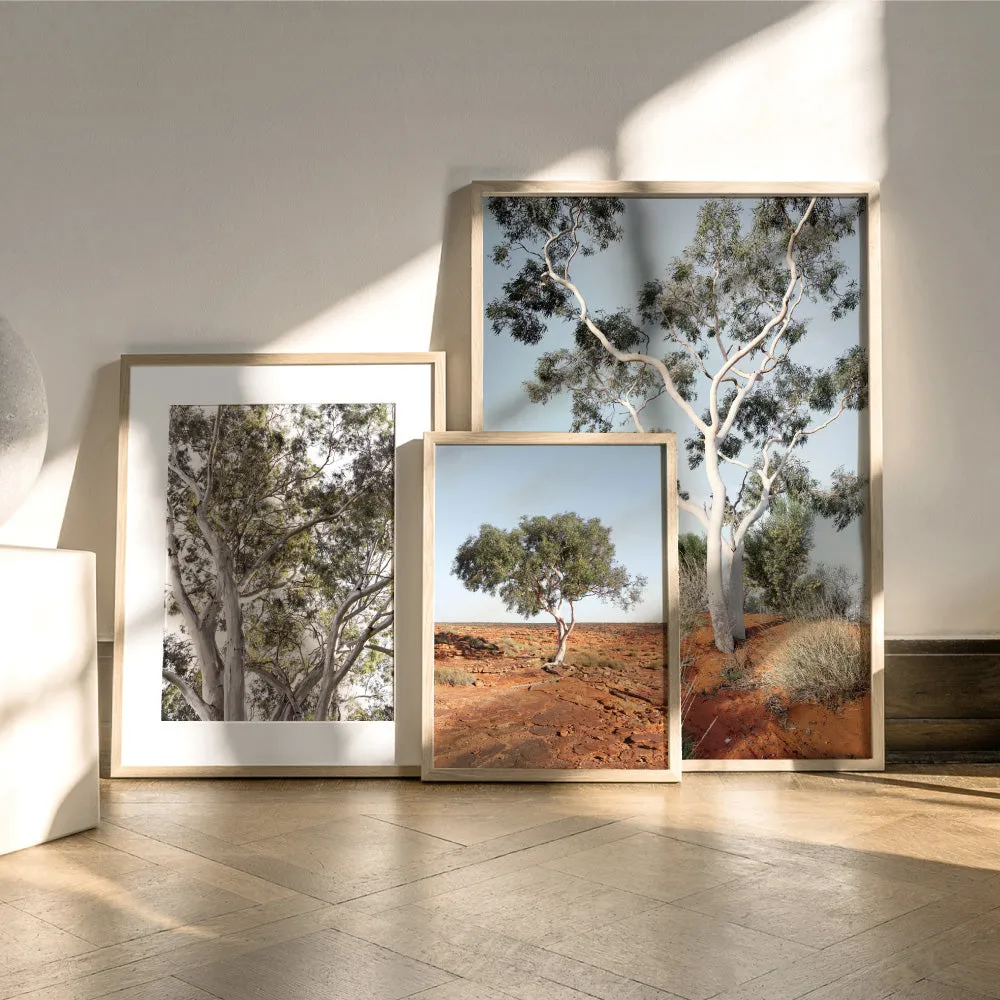 Gumtrees View I - Art Print
