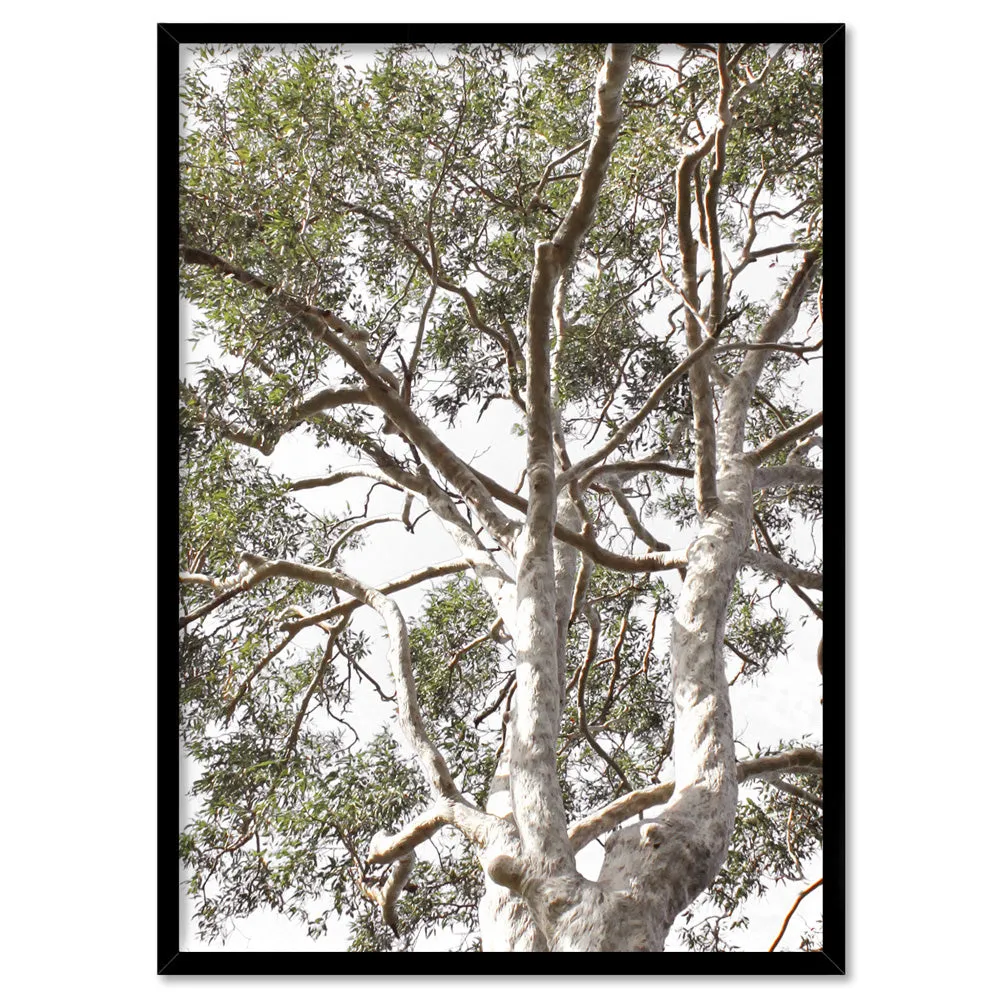 Gumtrees View II - Art Print