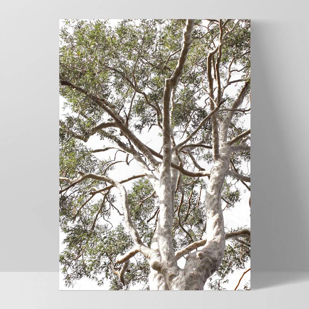 Gumtrees View II - Art Print