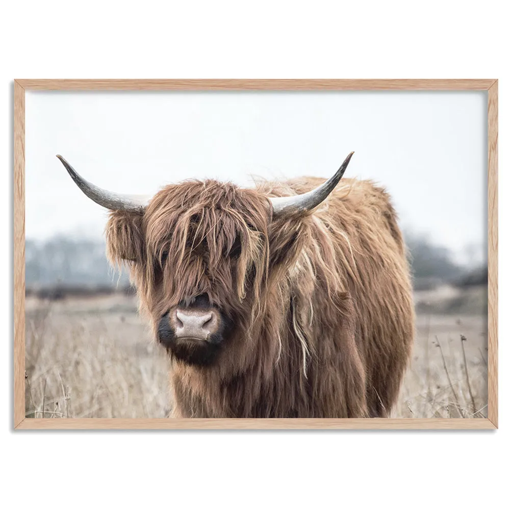 Highland Cow Landscape I - Art Print