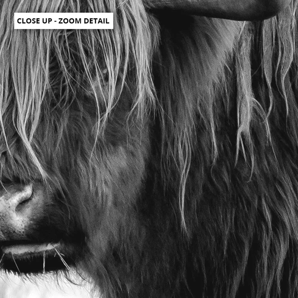Highland Cow Landscape III B&W - Art Print