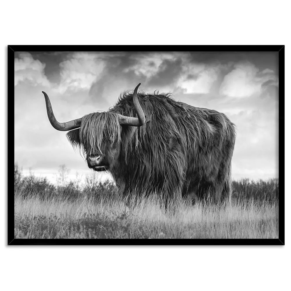 Highland Cow Landscape III B&W - Art Print