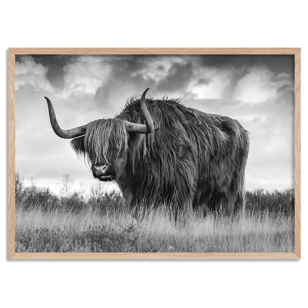 Highland Cow Landscape III B&W - Art Print