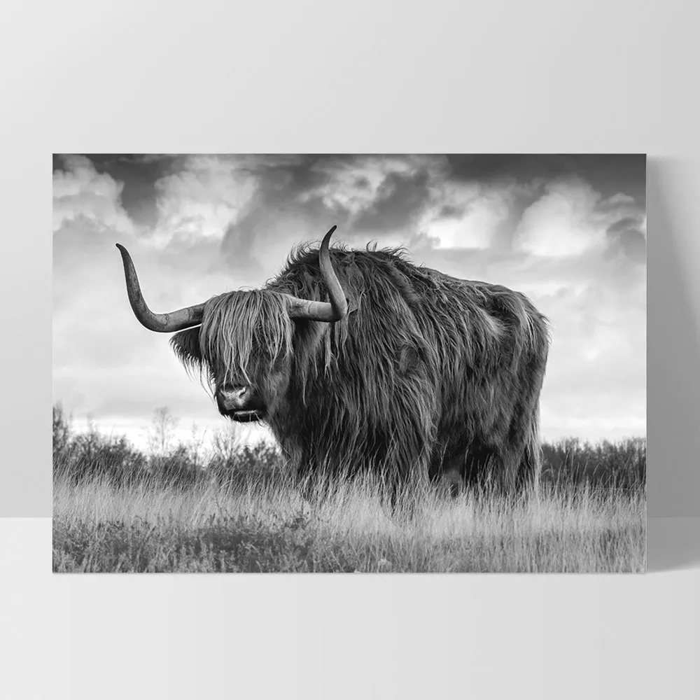 Highland Cow Landscape III B&W - Art Print