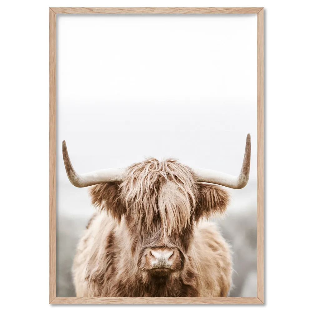 Highland Cow Portrait I - Art Print