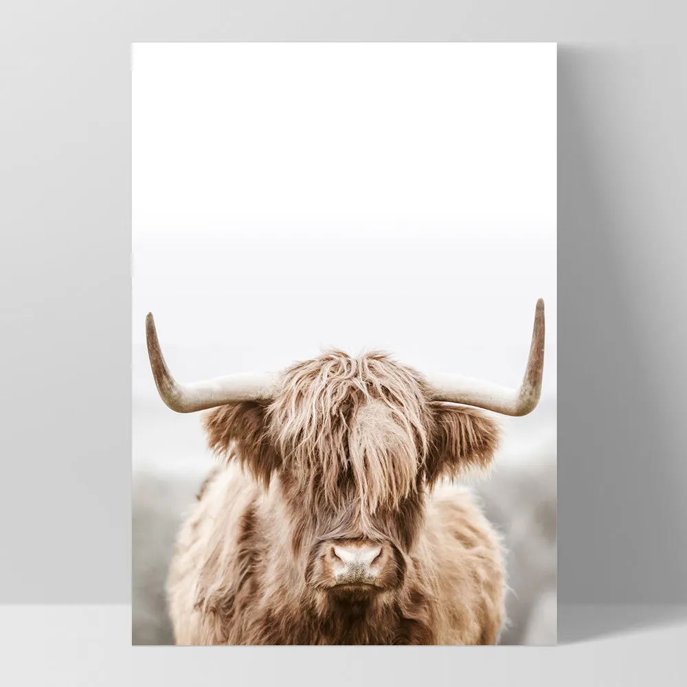 Highland Cow Portrait I - Art Print