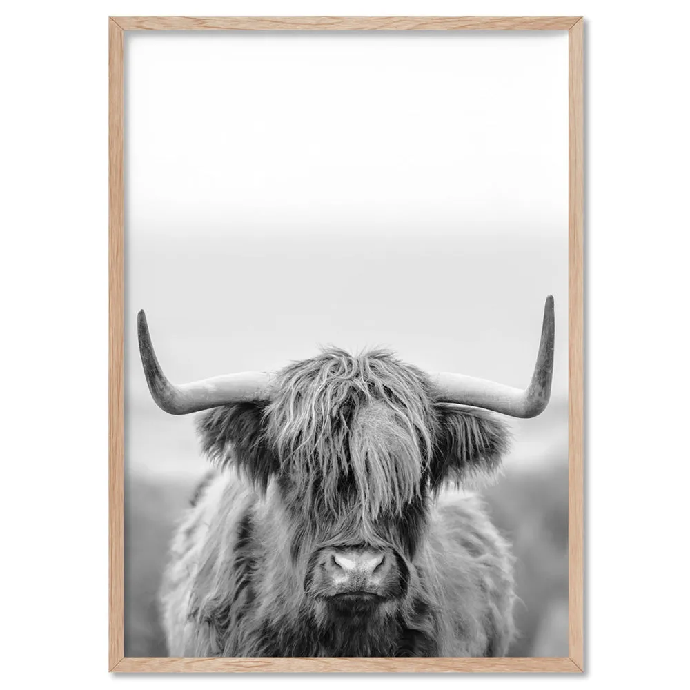 Highland Cow Portrait II B&W - Art Print