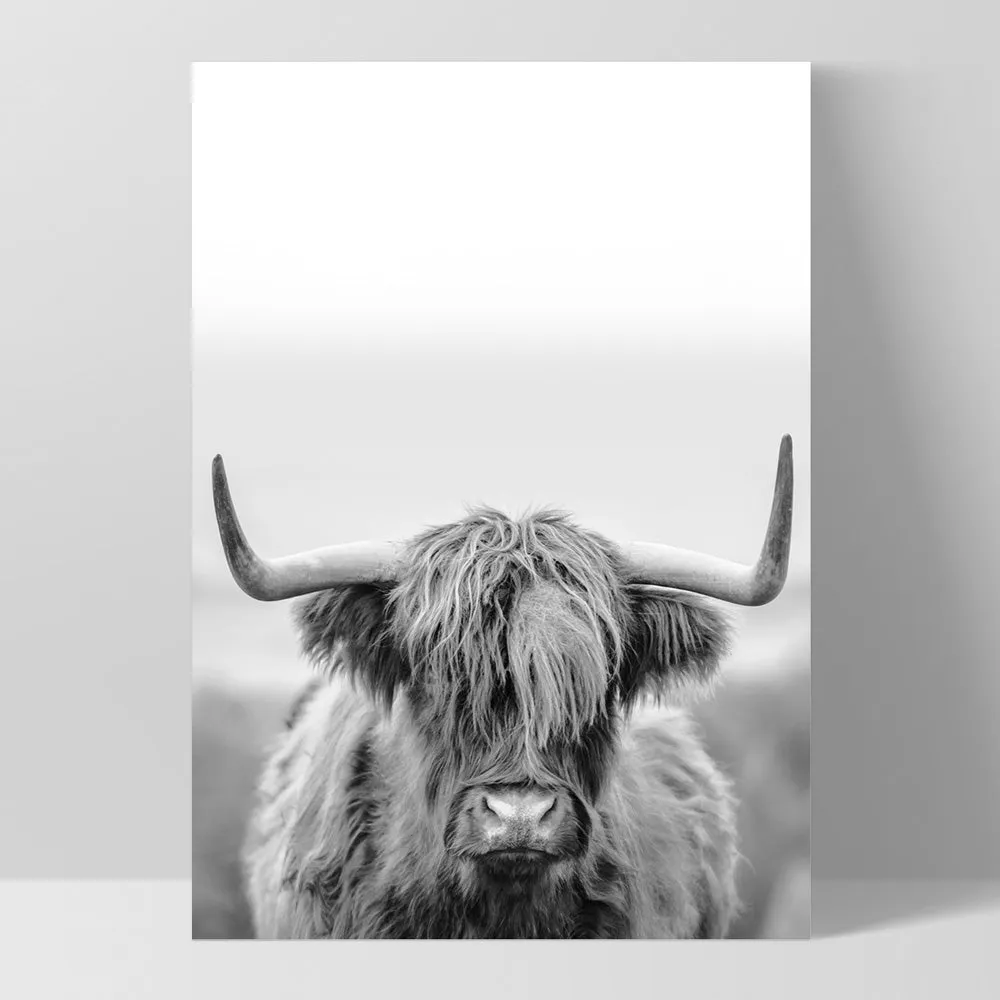 Highland Cow Portrait II B&W - Art Print