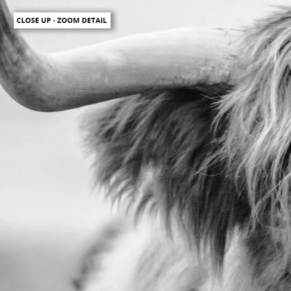 Highland Cow Portrait II B&W - Art Print