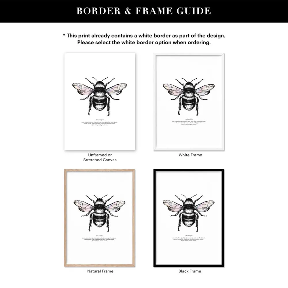 Honey Bee with Holo Wings - Art Print