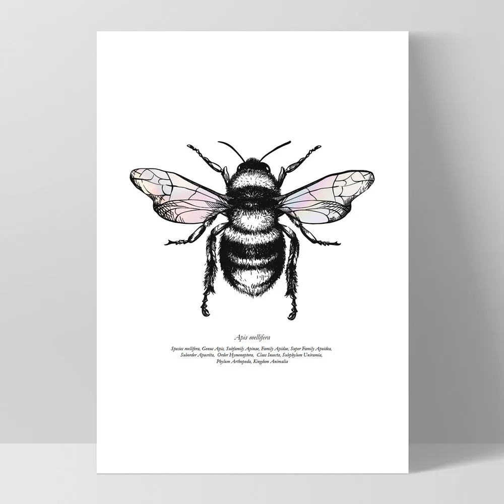 Honey Bee with Holo Wings - Art Print