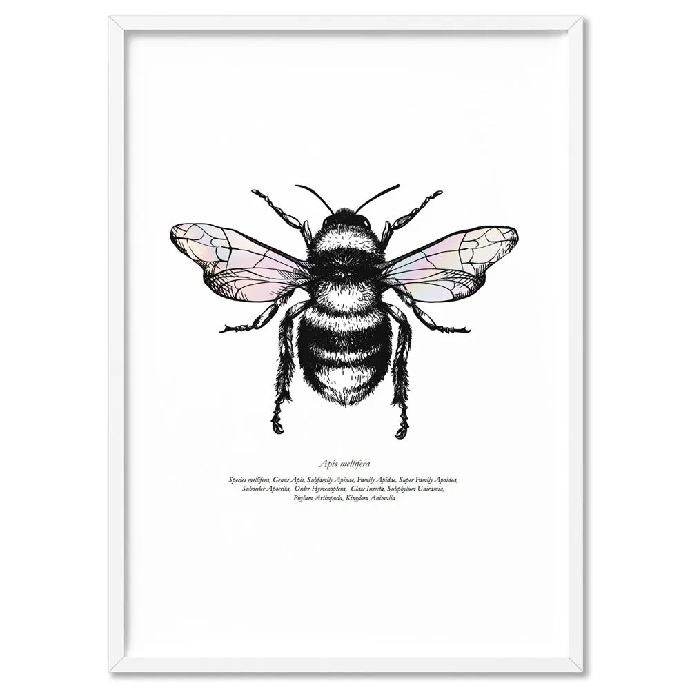 Honey Bee with Holo Wings - Art Print