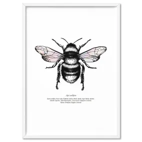 Honey Bee with Holo Wings - Art Print