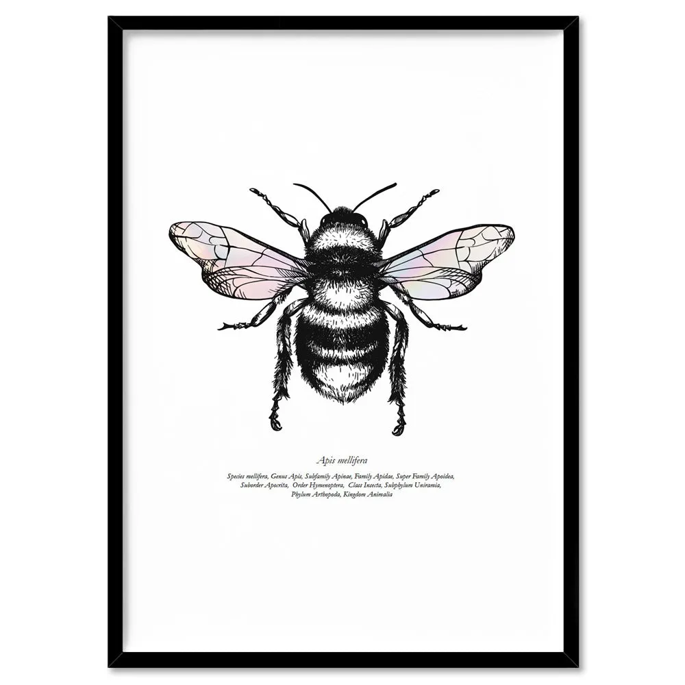 Honey Bee with Holo Wings - Art Print