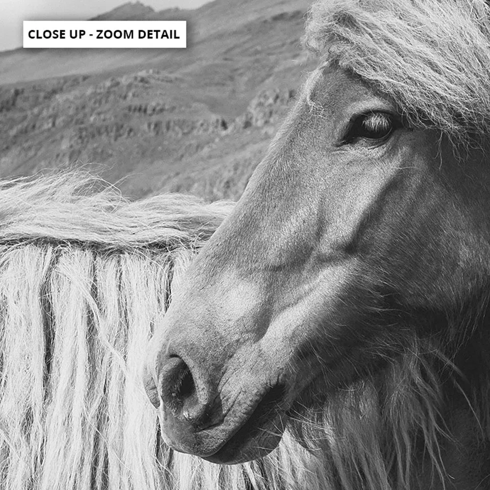 Horses Embrace in B&W - Art Print