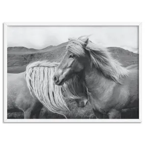 Horses Embrace in B&W - Art Print