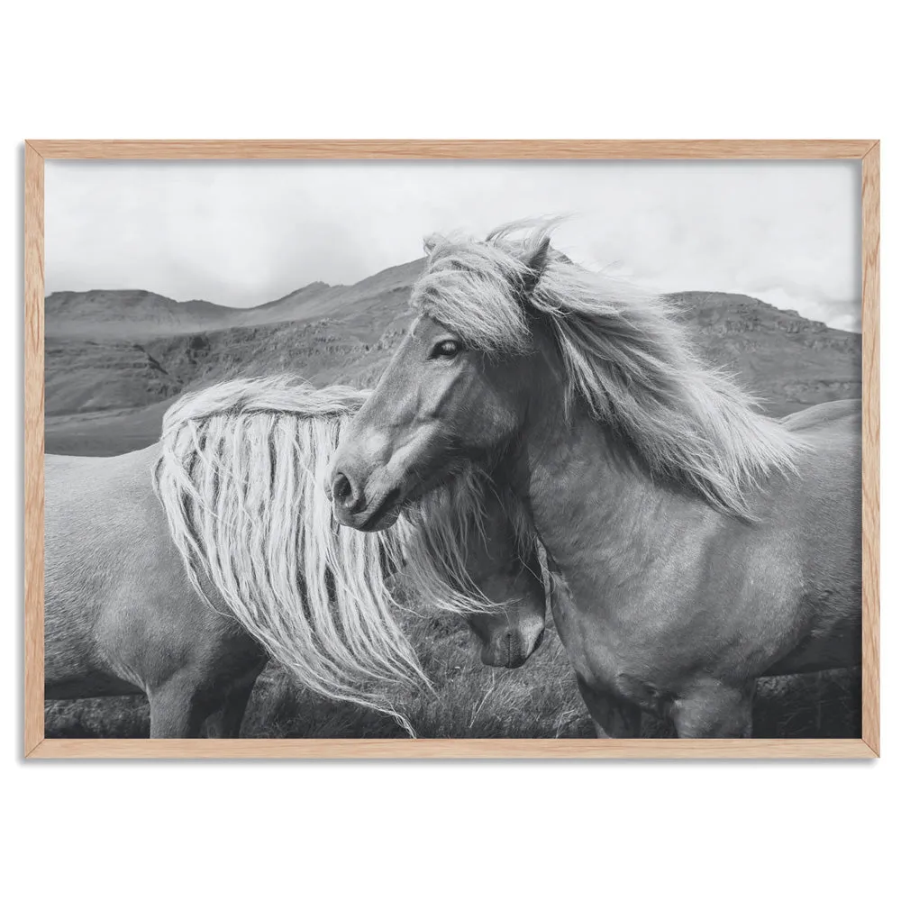 Horses Embrace in B&W - Art Print