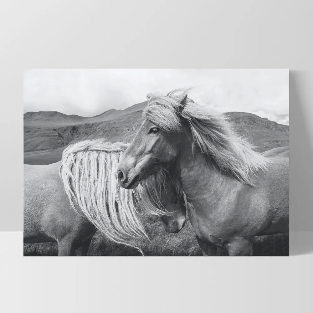Horses Embrace in B&W - Art Print