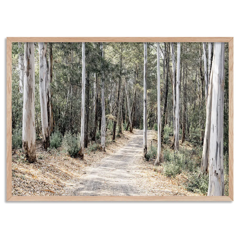 Into the Gumtrees - Art Print