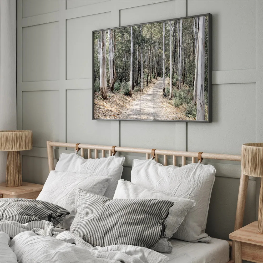 Into the Gumtrees - Art Print