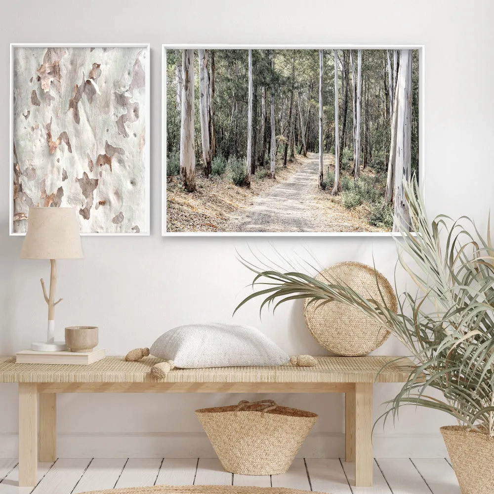 Into the Gumtrees - Art Print