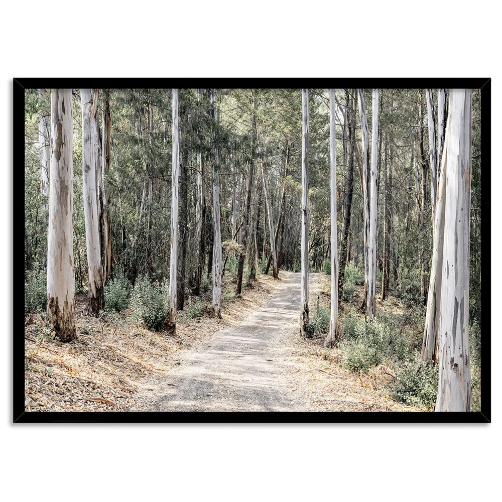 Into the Gumtrees - Art Print