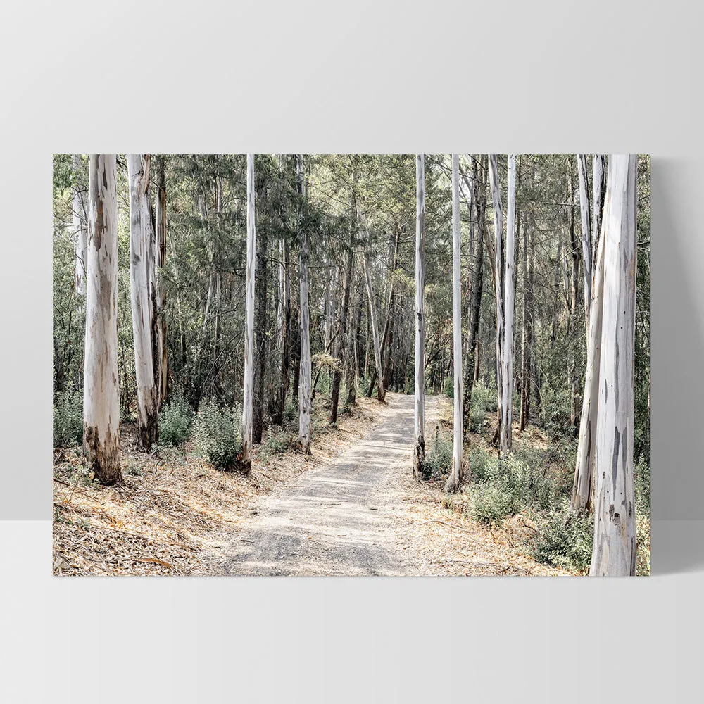 Into the Gumtrees - Art Print