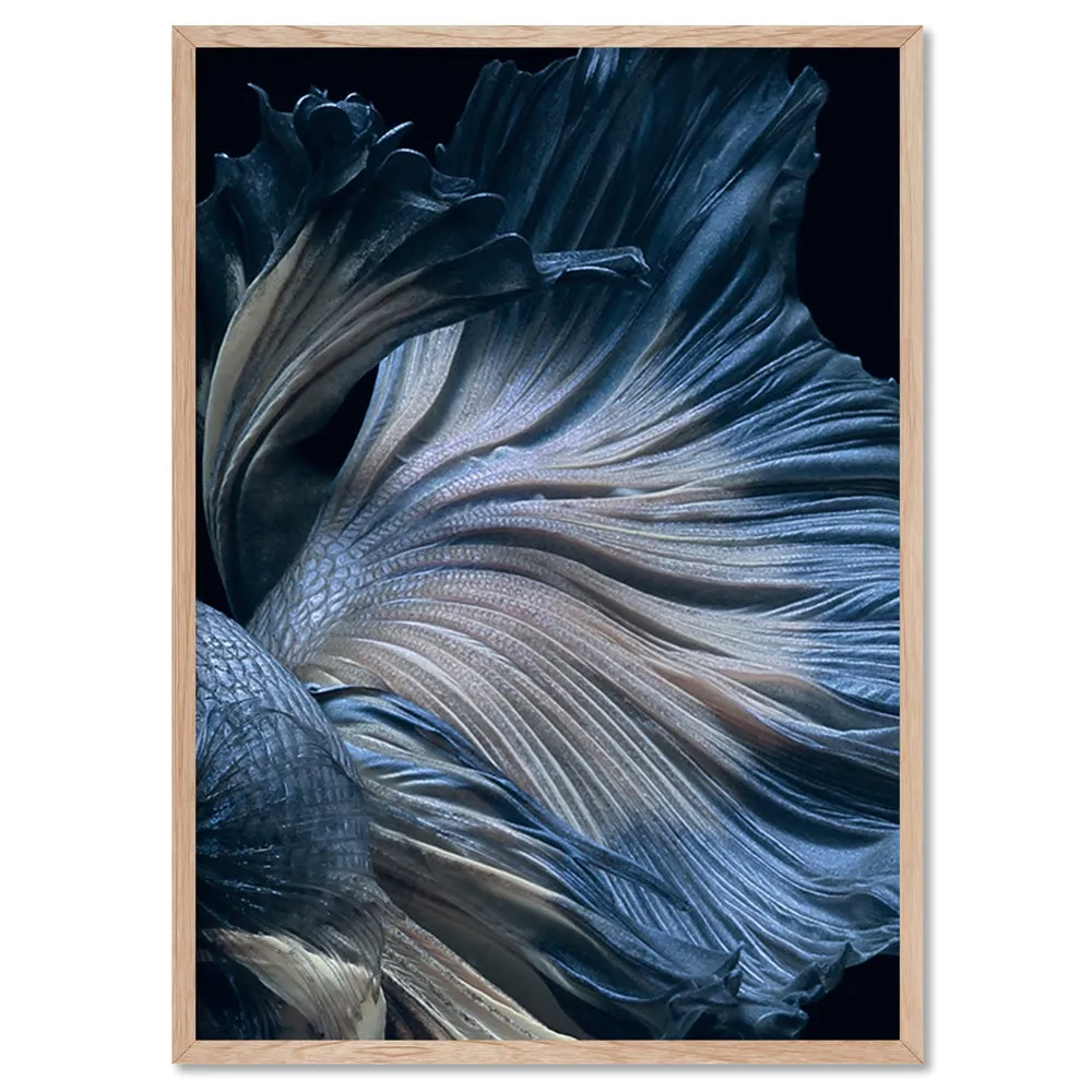 Japanese Blue Betta Fighting Fish - Art Print